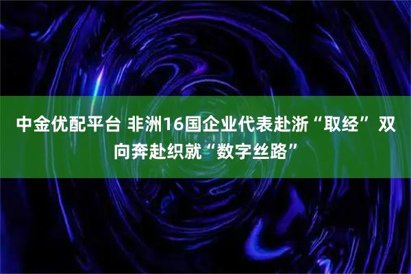 中金优配平台 非洲16国企业代表赴浙“取经” 双向奔赴织就“数字丝路”