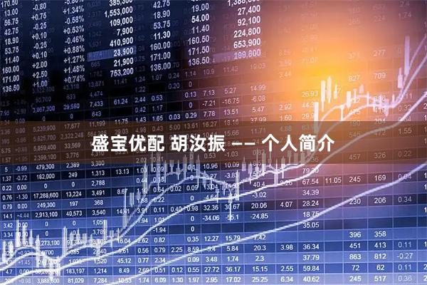 盛宝优配 胡汝振 —— 个人简介