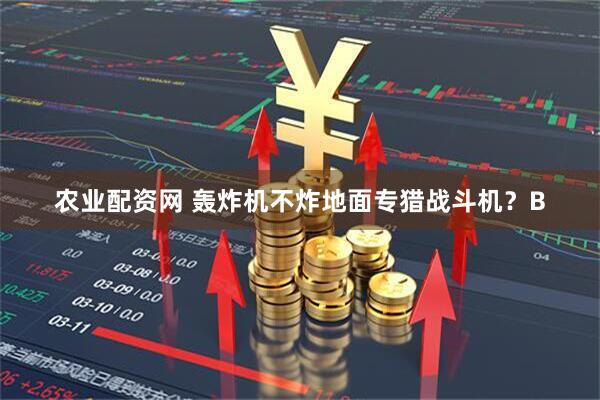 农业配资网 轰炸机不炸地面专猎战斗机？B