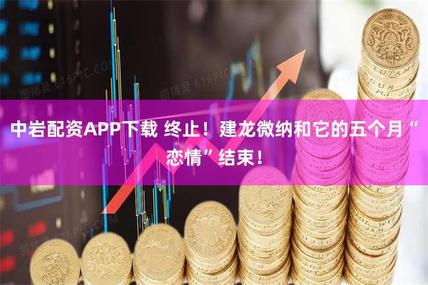 中岩配资APP下载 终止！建龙微纳和它的五个月“恋情”结束！