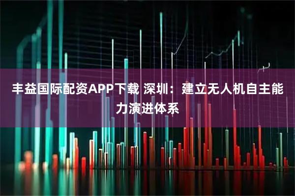 丰益国际配资APP下载 深圳：建立无人机自主能力演进体系