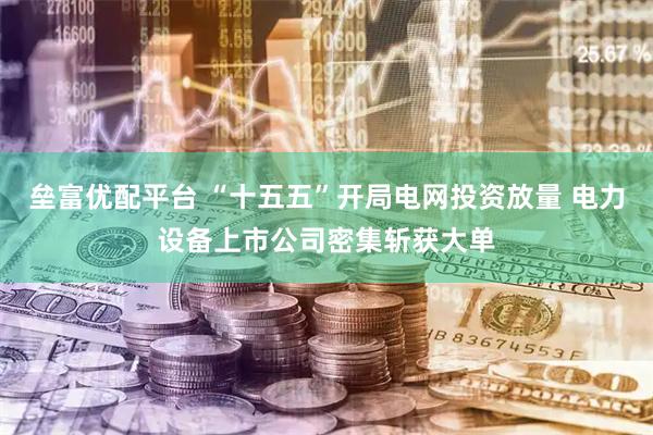 垒富优配平台 “十五五”开局电网投资放量 电力设备上市公司密集斩获大单
